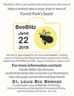 St. Louis BeeBlitz announcement flier