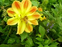 View photo in a new window