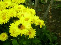 View photo in a new window