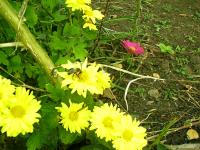 View photo in a new window