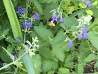 View photo in a new window