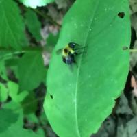 View photo in a new window