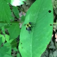 View photo in a new window