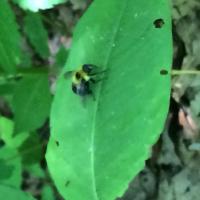 View photo in a new window