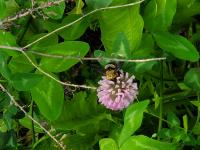 View photo in a new window