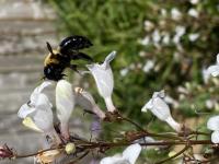 View photo in a new window