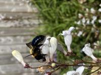 View photo in a new window