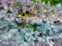 View photo in a new window