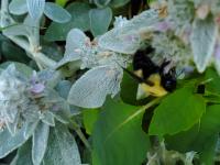 View photo in a new window