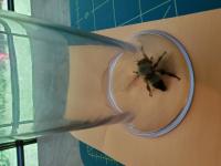 View photo in a new window