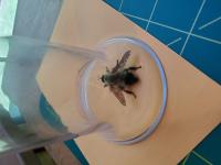 View photo in a new window