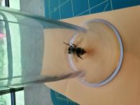 View photo in a new window