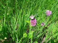 View photo in a new window