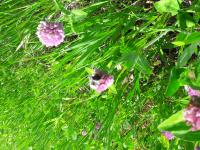 View photo in a new window