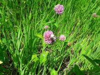 View photo in a new window