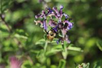 View photo in a new window