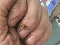 View photo in a new window