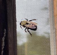 View photo in a new window