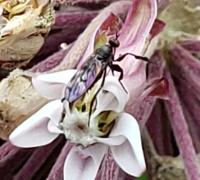 View photo in a new window