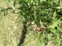 View photo in a new window