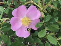 View photo in a new window