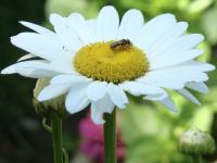 View photo in a new window