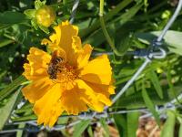 View photo in a new window