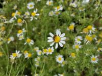 View photo in a new window