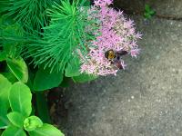 View photo in a new window