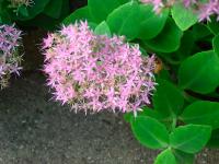 View photo in a new window