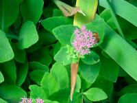 View photo in a new window