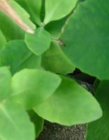 View photo in a new window