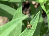 View photo in a new window