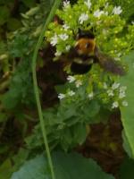 View photo in a new window