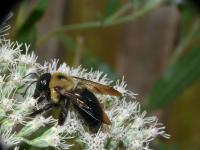 View photo in a new window