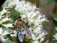 View photo in a new window