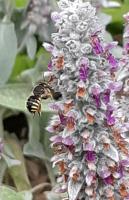 View photo in a new window