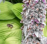 View photo in a new window