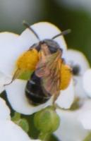 View photo in a new window