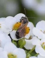 View photo in a new window