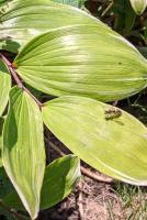 View photo in a new window