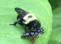 View photo in a new window