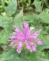 View photo in a new window