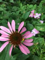 View photo in a new window