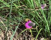 View photo in a new window