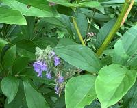 View photo in a new window