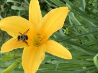 View photo in a new window