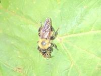 View photo in a new window