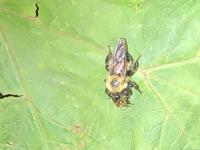 View photo in a new window