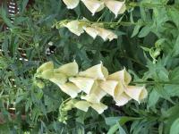 View photo in a new window